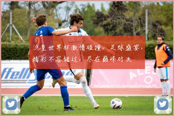 沙皇世界杯激情碰撞，足球盛宴，精彩不容错过，尽在巅峰对决