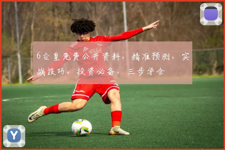 6合皇免费公开资料，精准预测，实战技巧，投资必备，三步学会